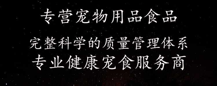 新闻资讯