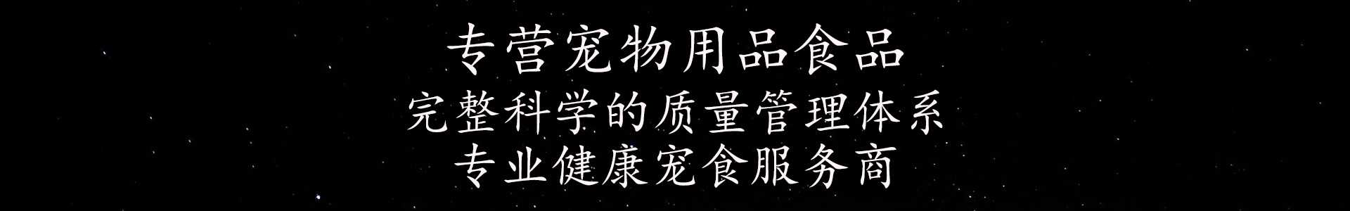 新闻资讯