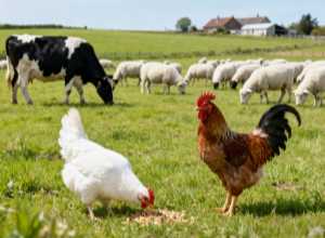 全产业链布局产品体系完善