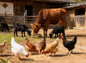 先进产能保障品质更有底气